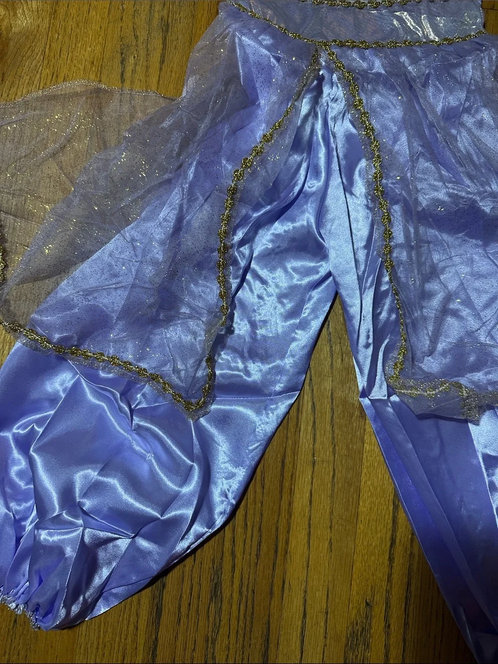Disney Jasmine Purple and Gold Deluxe Child Costume